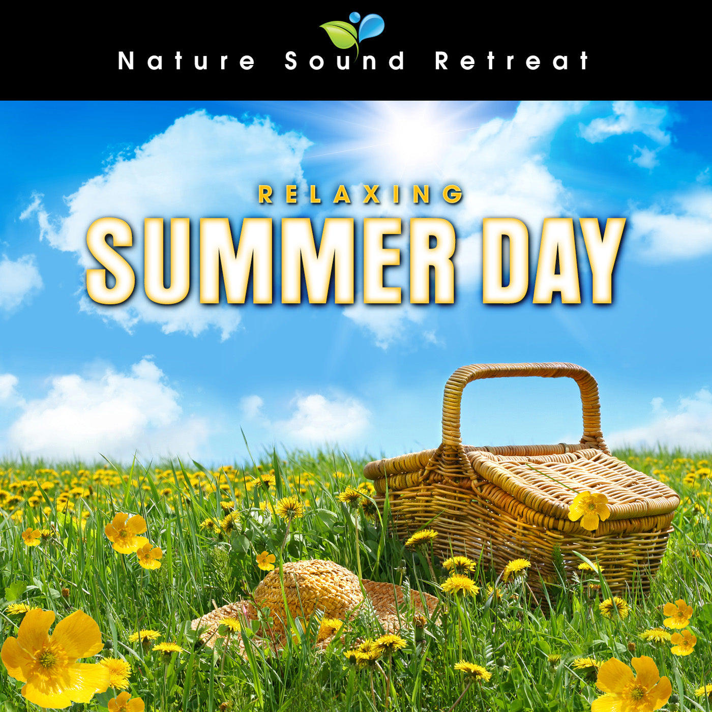 Relaxing Summer Day by a Meadow Stream with Birds and Wildlife Sounds