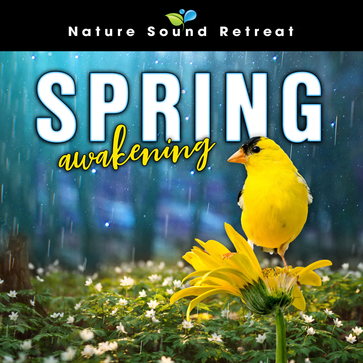 Spring Awakening