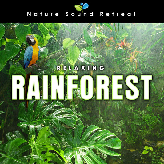 Relaxing Rainforest for Meditation & Relaxation