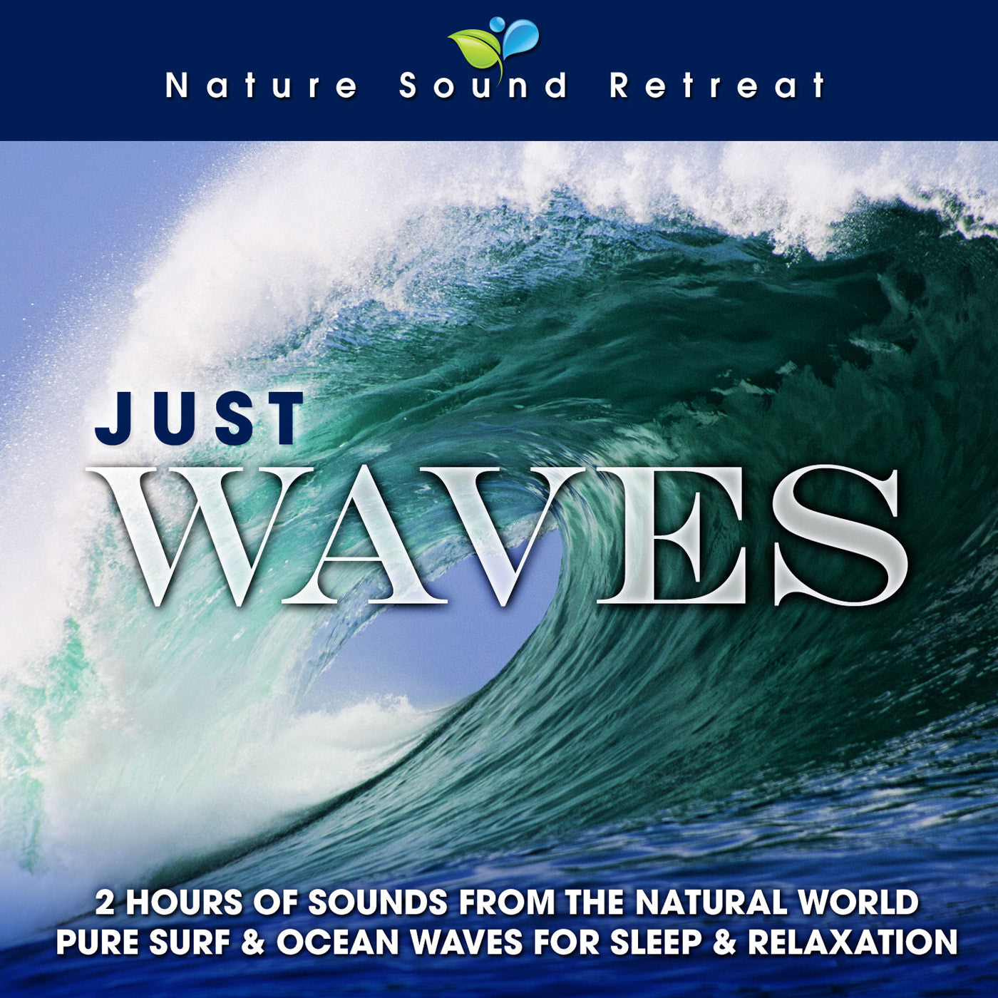 Just Waves: 2 Hours of Sounds from the Natural World (Pure Surf & Ocean Waves for Sleep & Relaxation)