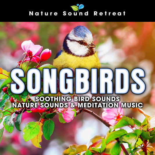 Songbirds: Soothing Bird Sounds - Nature Sounds & Meditation Music