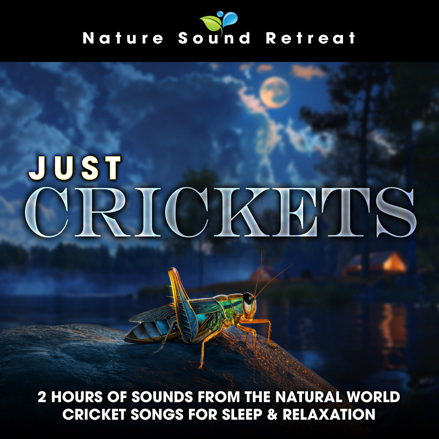 Just Crickets: 2 Hours of Sounds from the Natural World Cricket Songs for Sleep & Relaxation