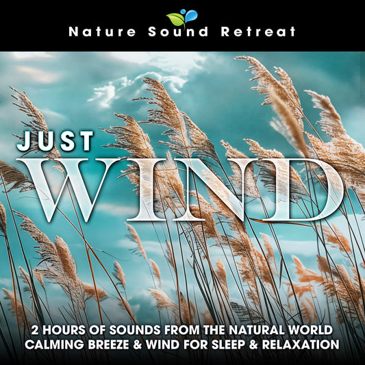 Just Wind: 2 Hours of Sounds from the Natural World Calming Breeze & Wind for Sleep & Relaxation